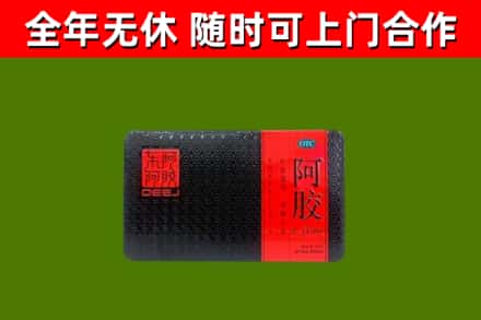 曲麻莱回收阿胶