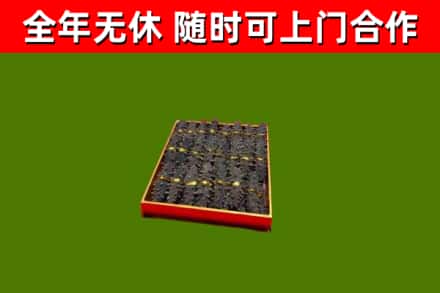 曲麻莱回收海参
